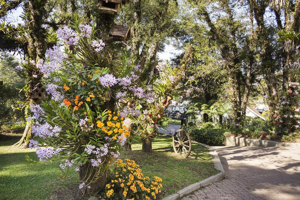 Solar Das Orquideas Ξενοδοχείο Canela Εξωτερικό φωτογραφία